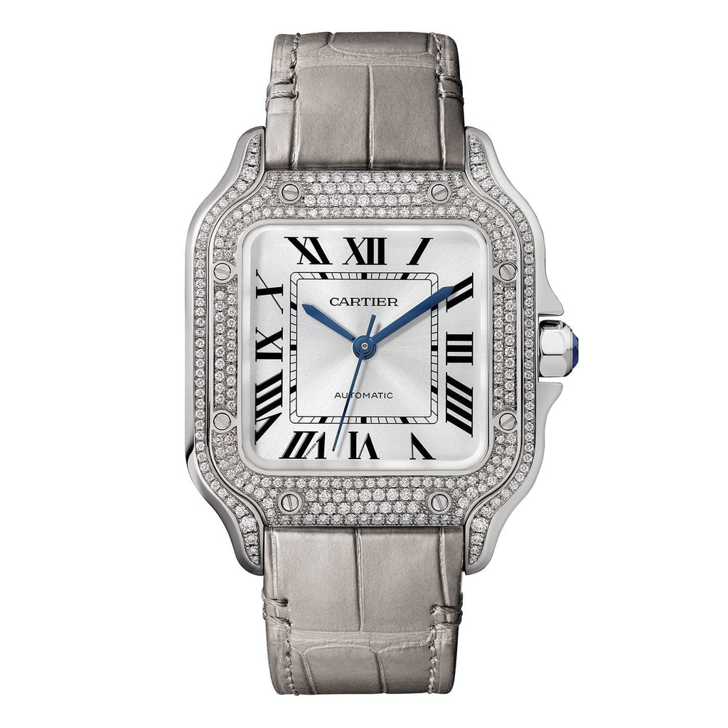 Cartier | Luxury Watch Collection | Reis-Nichols Jewelers